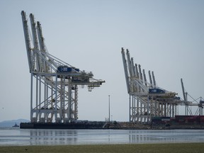 British Columbia has issued an environmental assessment certificate to the contentious container port expansion project at Roberts Bank, saying the province "could not prohibit the project from going forward." Gantry cranes used to load and unload cargo containers from ships sit idle at Global Container Terminals at Roberts Bank's existing Deltaport facility, in Delta, B.C., Friday, July 7, 2023.