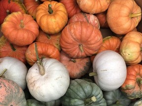There are so many fantastic pumpkin varieties available, why not choose a little something different this year?