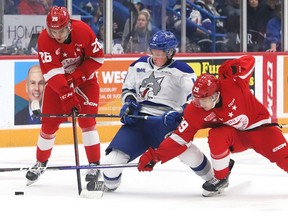 File photo: Landon McCallum, middle, of the Sudbury Wolves, battles for the puck with Marco Mignosa, left, and Kirill Kudryavtsev, of the Soo Greyhounds, during OHL action at the Sudbury Community Arena in Sudbury, Ont. on Wednesday November 2, 2022.