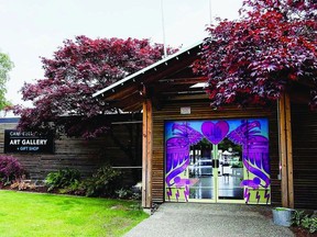 The Campbell River Art Gallery has come under fire for letting members of the city's unhoused population shelter under an awning of its building.