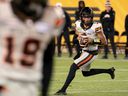 B.C. Lions quarterback Vernon Adams Jr. looks for a receiver against the Tiger-Cats during CFL action in Hamilton on Oct. 13.