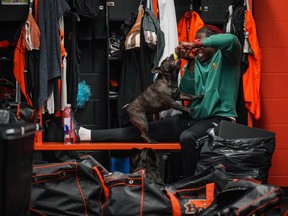 B.C. Lions receiver Lucky Whitehead tries to get one of his dogs to let go of a tennis ball as he takes a break while cleaning out his locker at the CFL football team's practice facility, in Surrey, B.C., on Monday, November 13, 2023.