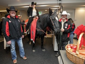 Diane Wensel rides Tuffy the horse into the lobby of a hotel as the annual tradition kicks off Grey Cup festivities ahead of the 110th CFL Grey Cup between the Winnipeg Blue Bombers and Montreal Alouettes in Hamilton, Ont., on Thursday, November 16, 2023.