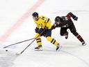 Sweden's Tom Willander (left) and Canada's Conor Geekie vie for the puck during the Group A ice hockey match between Canada and Sweden of the IIHF World Junior Championship in Gothenburg, Sweden on Dec. 29, 2023.