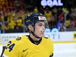 Sweden's Tom Willander reacts after scoring a goal against Canada on Friday.