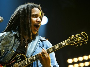 Jamaican American musician and the son of reggae legend Bob Marley, Stephen Marley, performs during the Lowlands music festival in Biddinghuizen on August 20, 2011. AFP PHOTO / ANP / MARTEN VAN DIJL netherlands out - belgium out