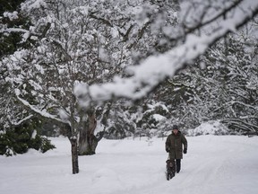 A man walks a dog through the snow after an overnight and morning snowstorm, in Vancouver, B.C., Tuesday, Feb. 28, 2023. Environment Canada has issued a series of warnings and advisories as a frontal system arrives off the British Columbia coast, which may bring Metro Vancouver its first snowfall this winter.