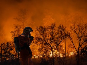 Funding for university research on forest fires and climate change drives innovation at UBC.
