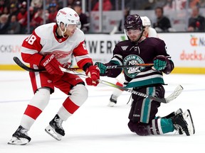 Jamie Drysdale (right) of the Anaheim Ducks defends against Patrick Kane of the Detroit Red Wings at Honda Center on January 7, 2024 in Anaheim, California.