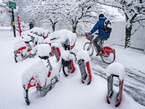 A person cycles past a snow covered bike stand during a snowstorm in Vancouver Wednesday, Jan. 17, 2024.