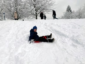 Peter Sviridova, aged six, tobogganing at Waterfront Park in North Vancouver on Jan. 17, 2024.Snow shut down most of the Metro area.