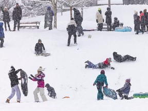 Kids and their parents take advantage of the snow to slide at Pioneer Park in Coquitlam on Jan. 17. Nearly a foot of snow fell overnight in the Lower Mainland, causing wide-spread school closures and transportation difficulties for thousands of commuters.