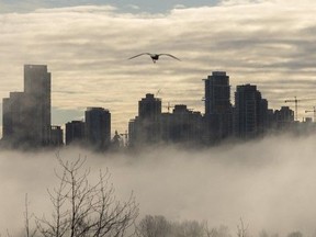 Surrey Central buildings rise from the fog. Fast-growing Surrey remains on track to exceed Vancouver's population.