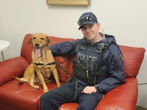 Amber, a stolen golden retriever, sits with a North Vancouver RCMP officer after being tracked down at Waterfront SkyTrain station in Vancouver.