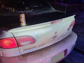 A Fort St. John dog was forced to walk all the way home when his owner was pulled over by police for drunk driving after a beer can was spotted on the trunk of his car.