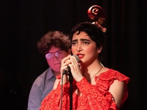 Iranian-Canadian vocalist Sima Amrei is making waves in Canadian jazz and pop circles with her swinging approach to traditional Persian music fused with Western elements.