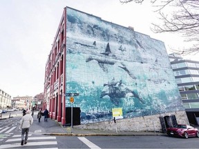 The orca mural at 1250 Wharf St. has become faded since it was painted by Robert Wyland in 1987.