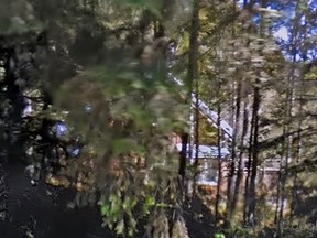 The house at 435 Stewart Rd. on Salt Spring Island as seen through trees from Steward Road.