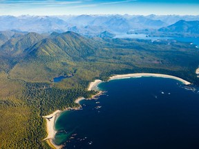 An aerial view over the old-growth forests of Flores Island in Ahousaht territory, Clayoquot Sound, British Columbia. Photo: TJ Watt/Ancient Forest Alliance.