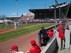 Fans enjoy the warm weather and sunshine as the Vancouver Canadians play at Nat Bailey Stadium. Could the city-owned stadium be put up for sale? A report suggests sport and cultural venues should be shed by the city.