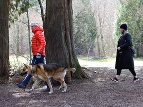 Dogwalkers on one of the trails off Chancellor Blvd. in the University Endowment Lands.