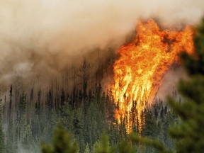 Open burning will be banned across much of northern British Columbia starting next week, earlier than usual, after officials warned dry conditions could mean wildfire activity this spring. Flames from the Donnie Creek wildfire burn along a ridge top north of Fort St. John, B.C., Sunday, July 2, 2023.