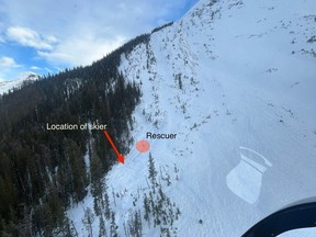 A skier has died in an avalanche that was triggered last week near the B.C.-Alberta border in Yoho National Park. This handout photo from Avalanche Canada shows the site of the avalanche.