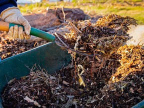 Keeping garden soil covered with plants and/or loose mulches helps keep carbon dioxide from leaking into the atmosphere, says Helen Chesnut.