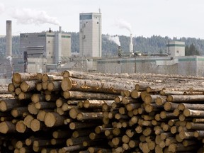 A 2.5-million-litre discharge of effluent from a fibreboard factory in Quesnel, B.C., poses "no immediate risk to public safety," according to the B.C. Environment Ministry. Logs are piled up at West Fraser Timber in Quesnel, B.C., Tuesday, April 21, 2009.