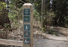 Metro Vancouver has made improvements to the Grand Fir Trail as clothing-optional Wreck Beach has grown in popularity. The beach's inaccessible nature is both a problem and part of what makes the beach special.
