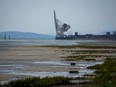 Gantry cranes used to load and unload cargo containers from ships sit idle at Global Container Terminals at Deltaport, in Delta on Friday, July 7, 2023.