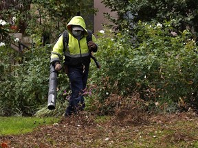 File photo of a gardener using a leaf blower.