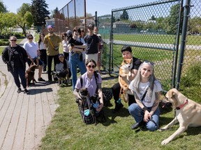 A group of concerned dog owners and community members, including, front from left, Trina Atchison, with Sushi and Riley; Angie Cheung with August; and Tanya Ebach with Memphis, at the padlocked entrance to Charles Tupper Secondary school's north field oval on May 10. The school field used to be used as a place for peoples' dogs to play. They're no longer welcome.