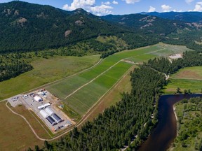 A cannabis farm owned by Christina Lake Cannabis near Midway B.C. has been planted for the 2024 crop.