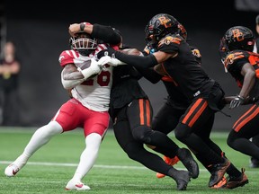 bc lions