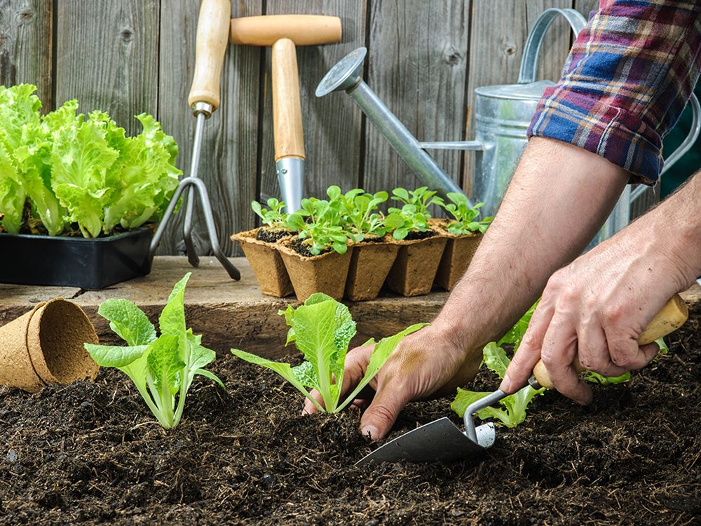 Give dad the gardening tools he needs this Father's Day