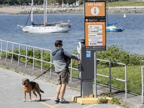 Here are some of Metro Vancouver's beaches and waterfronts that offer on-site or nearby parking and everything you need to know.
