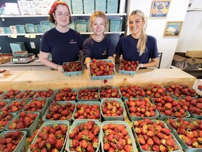From left, students Corynn Peters, Sierra Loewen and Grace Cass at Bob's Fruit Stand in North Vancouver on June 20.