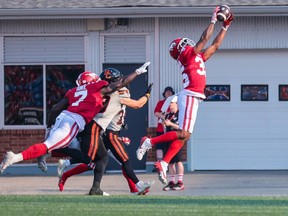 Calgary Stampeders defensive back Tyler Richardson, reaches for ball during CFL action against the B.C. Lions at McMahon Stadium on Sunday July 21, 2024.