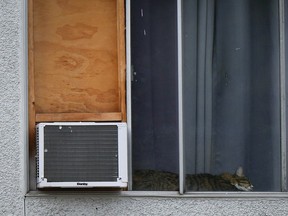 A cat sleeps in an apartment window beside an air conditioner, in Burnaby.