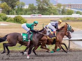 Cup at Hastings Racecourse