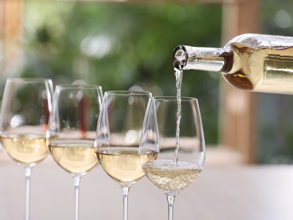 Wine Guy: Staying fresh with New Zealand Sauvignon Blanc