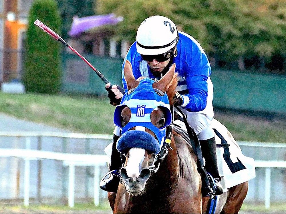 Debrusk, ridden by Silvino Morales, is a favourite for Saturday's $75,000 Jack Diamond Stakes at Hasting Racecourse. Photo: Michael Bye