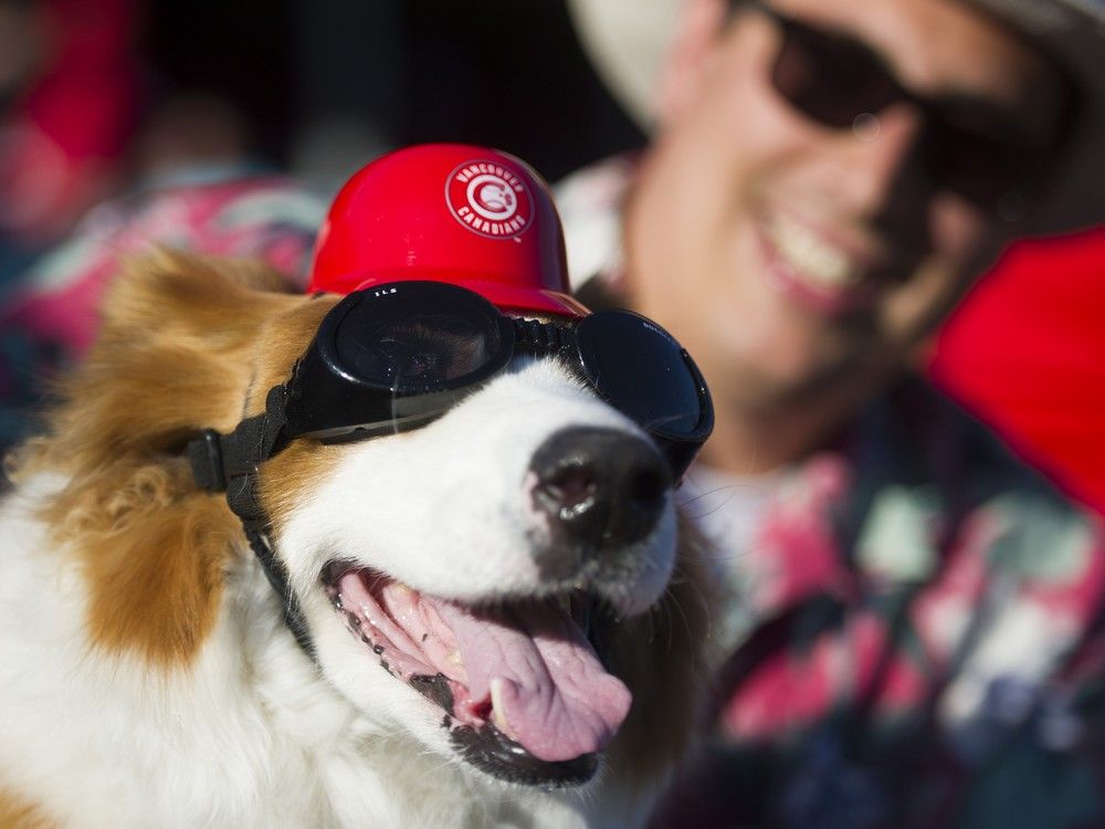 Here's what to look for with Vancouver Canadians special promotions this season