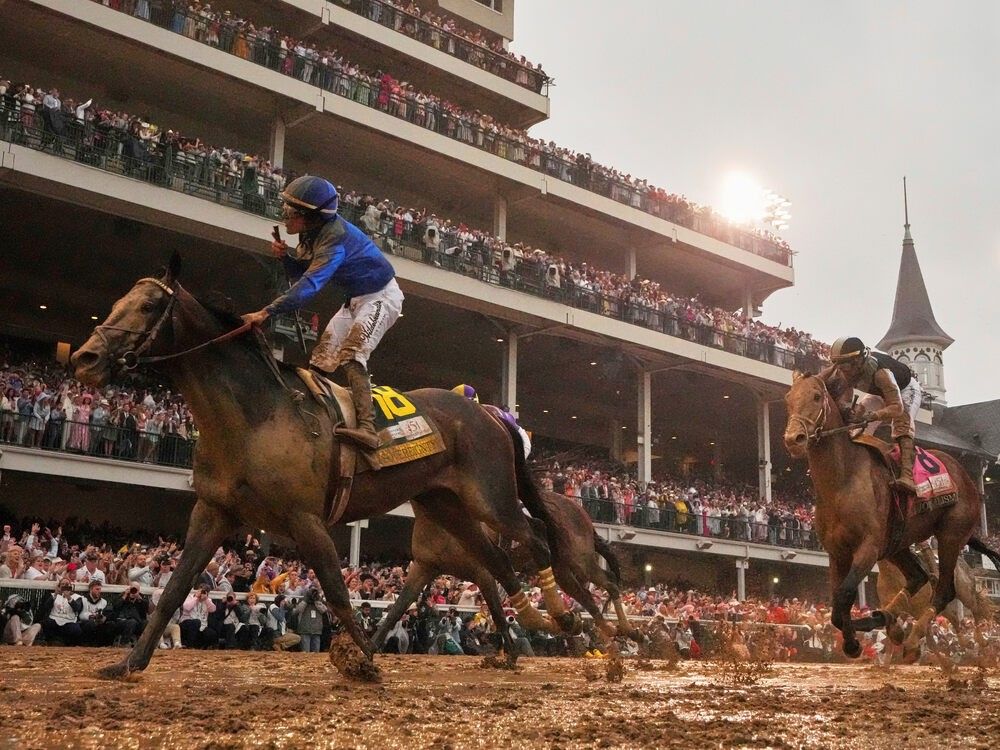 Local horse guru makes mark with top racing team heading to Breeders' Cup
