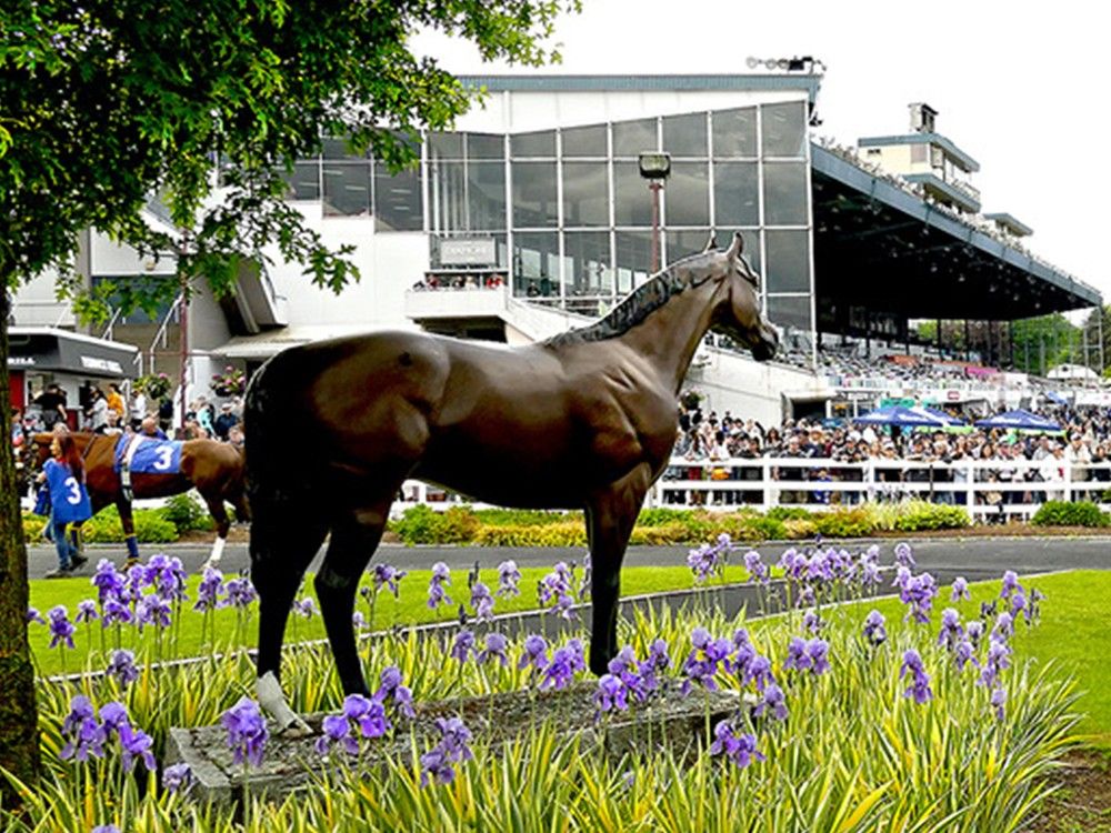 Patrick Johnston: All eyes are now on Hastings Park's future as a possible sports venue now that horse racing is done.