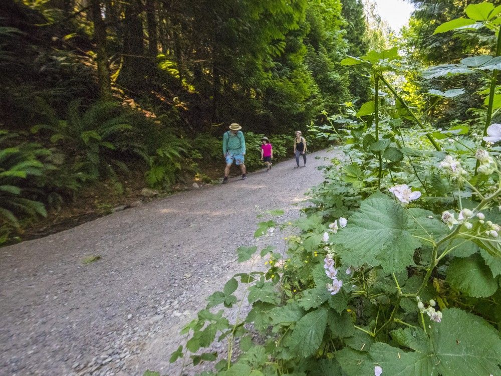 B.C.'s civil forfeiture director wants to seize Albertan's 2009 SUV worth $7,300