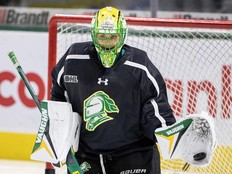Aleksei Medvedev defends the net