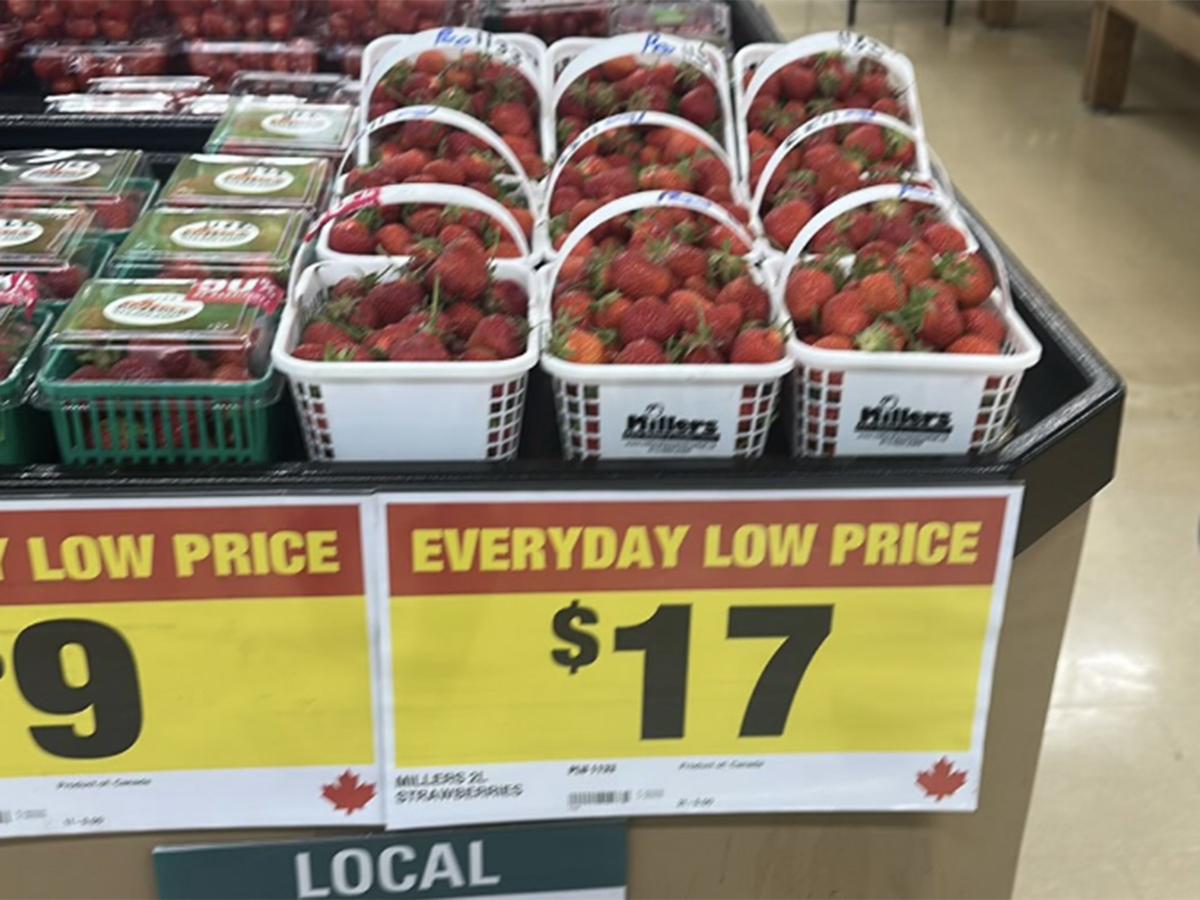 Homegrown strawberries are selling at high prices in Canada.