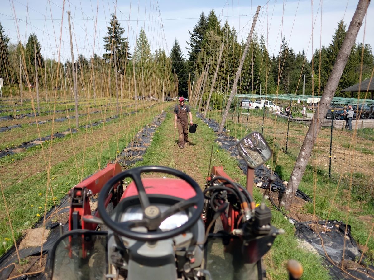 One of Brian Smith's favourite things to do before he was seriously injured in an accident was to walk the fields of barley that supplied his Persephone Brewing with hops, and ride the tractor. He hopes a new buyer will find the same joy.